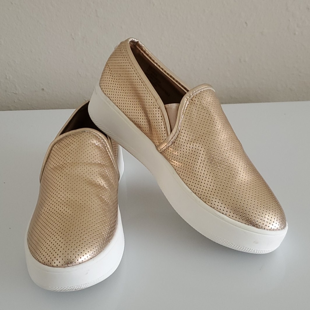Steve Madden  Sneakers
